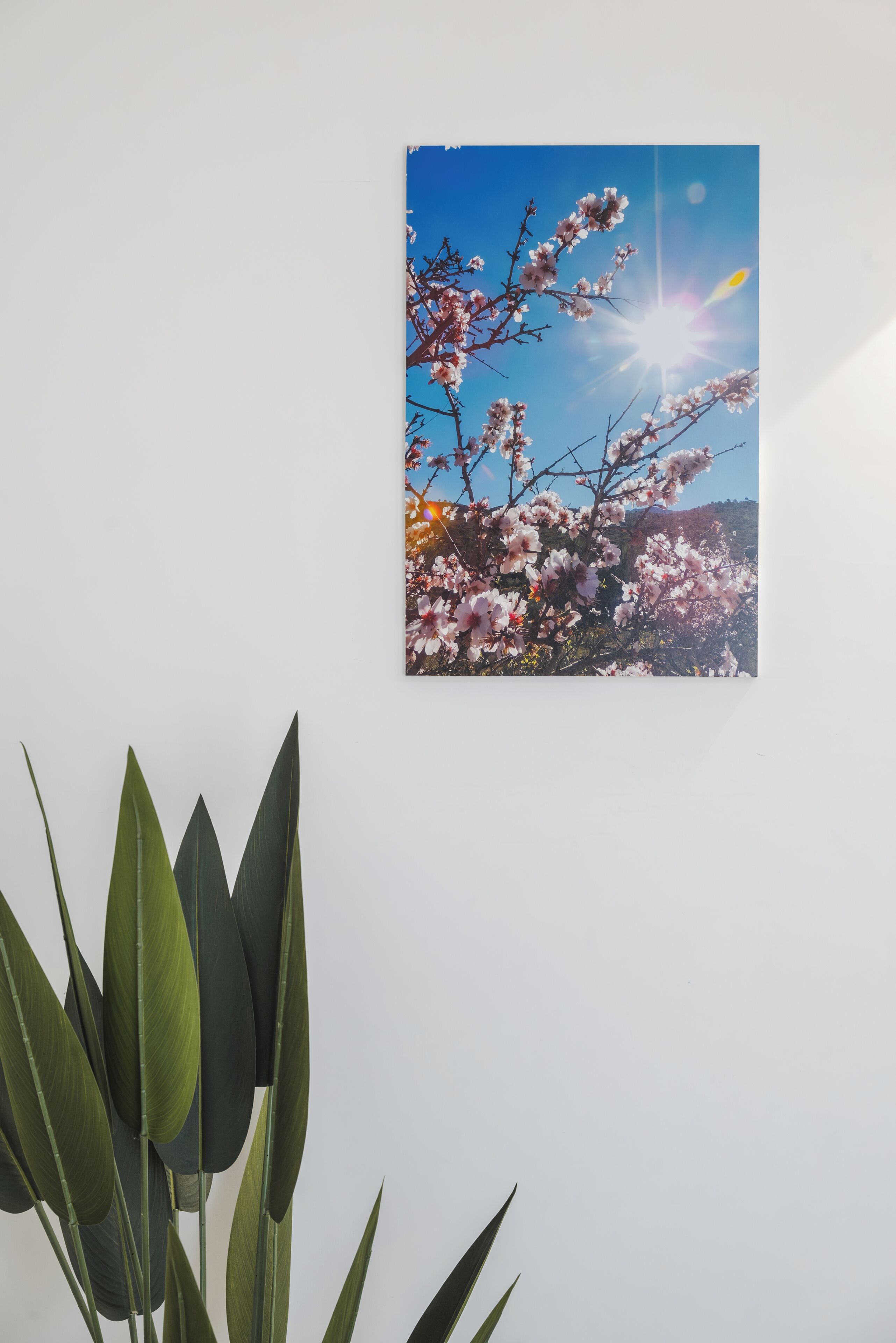 Et billede på væggen af et træ med lyserøde blomster og en klar blå himmel.