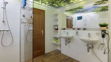 Shower, hair dryer, towels