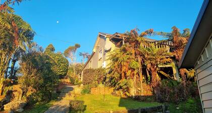 Dudley House – Where the Coast Casts Its Spell