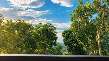 Vista de una zona boscosa con cielo despejado y una baranda de madera al frente.