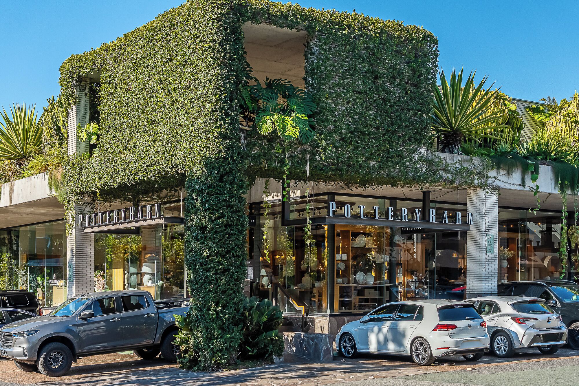 A building with a unique architectural design covered in ivy, featuring a storefront with glass windows displaying items.