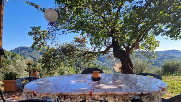 Un espace de restauration en plein air, avec une table et des chaises, entouré d’arbres et offrant une vue sur un paysage montagneux.