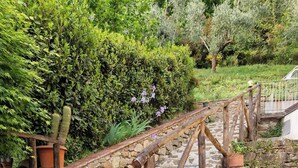 Un chemin de pierre mène à un escalier en bois muni de rampes, le tout étant entouré de plantes en pot et d’une variété de verdure.