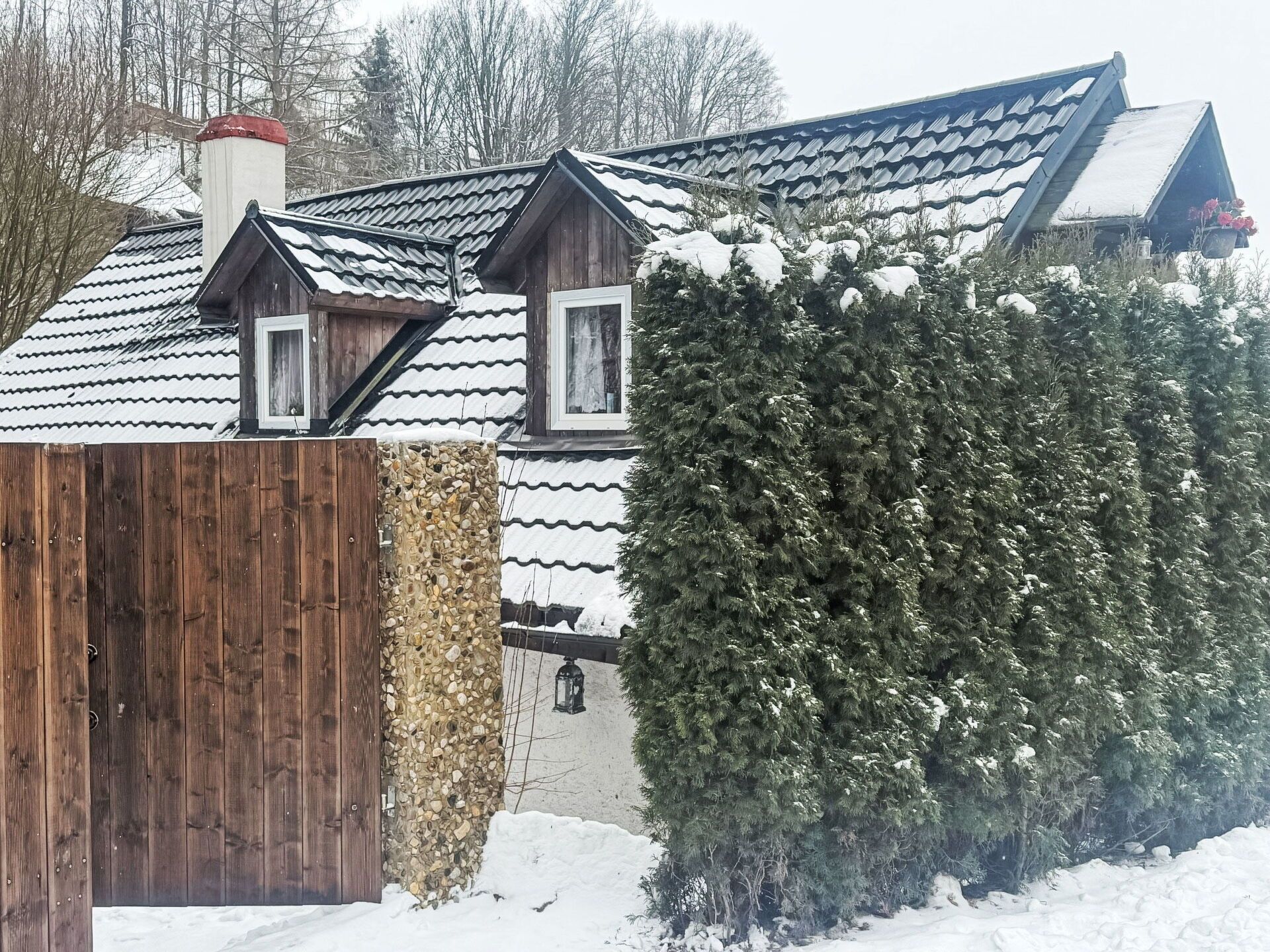 Shrub, Home Fencing, Fence, Evergreen, Pine Family