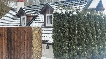 Shrub, Home Fencing, Fence, Evergreen, Pine Family