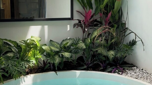 Una piscina rodeada de plantas y un muro de bambú.