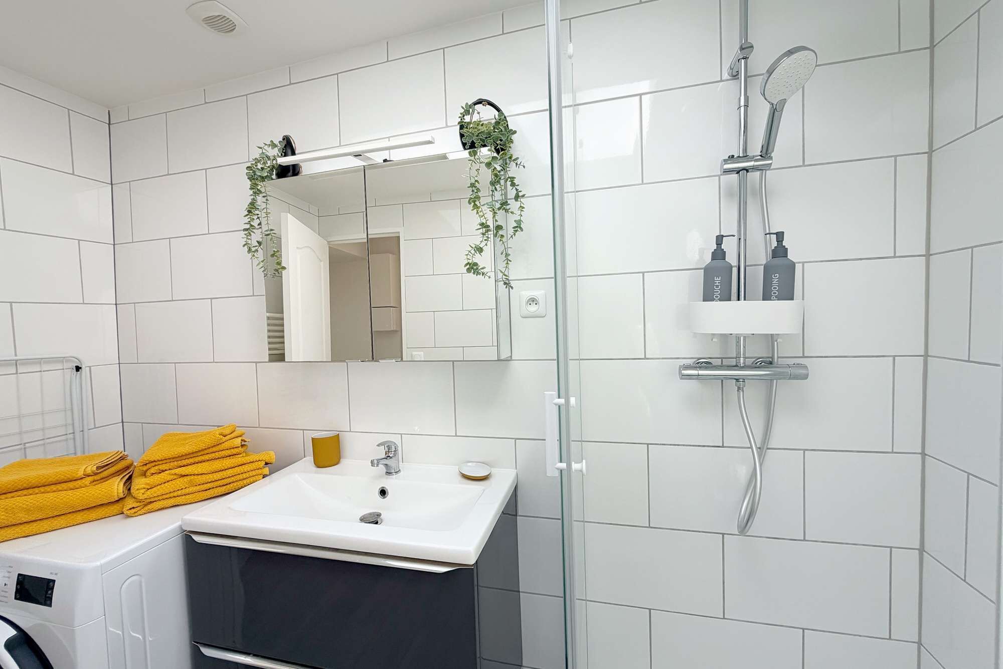 A modern bathroom with a glass shower enclosure, a white sink, and a mirror above it.
