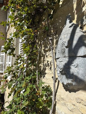 A stone wall with a carved lion head and a vine growing over it. - Le Clos des Murmures - maisonnette mitoyenne à Trept (Trept)