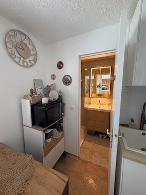 Interior - Cozy studio in the heart of the Alps (Puy-Saint-Vincent)