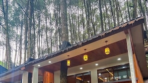 Un bâtiment en bois doté d’un balcon, de grandes fenêtres et d’une clôture en bambou.