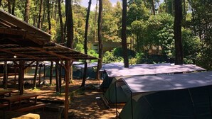 Un terrain de camping situé dans une forêt, avec plusieurs tentes, une structure en bois et un ciel dégagé.
