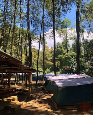 Tienda básica, vistas a la colina | Jardines del alojamiento