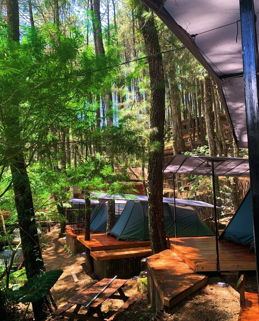 En campingplats i skogen med flera tält och träbänkar.
