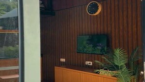 Un intérieur moderne avec un mur lambrissé en bois, une horloge, un téléviseur à écran plat et une plante en pot.