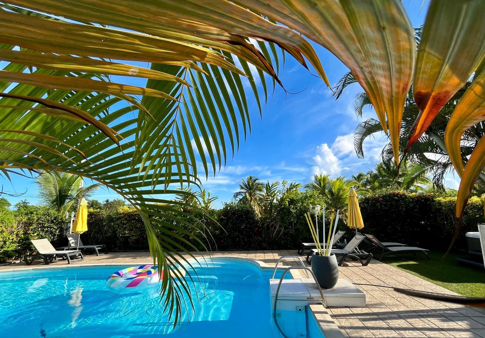 Une piscine entourée de palmiers, avec des chaises longues et des parasols, sous un ciel dégagé.