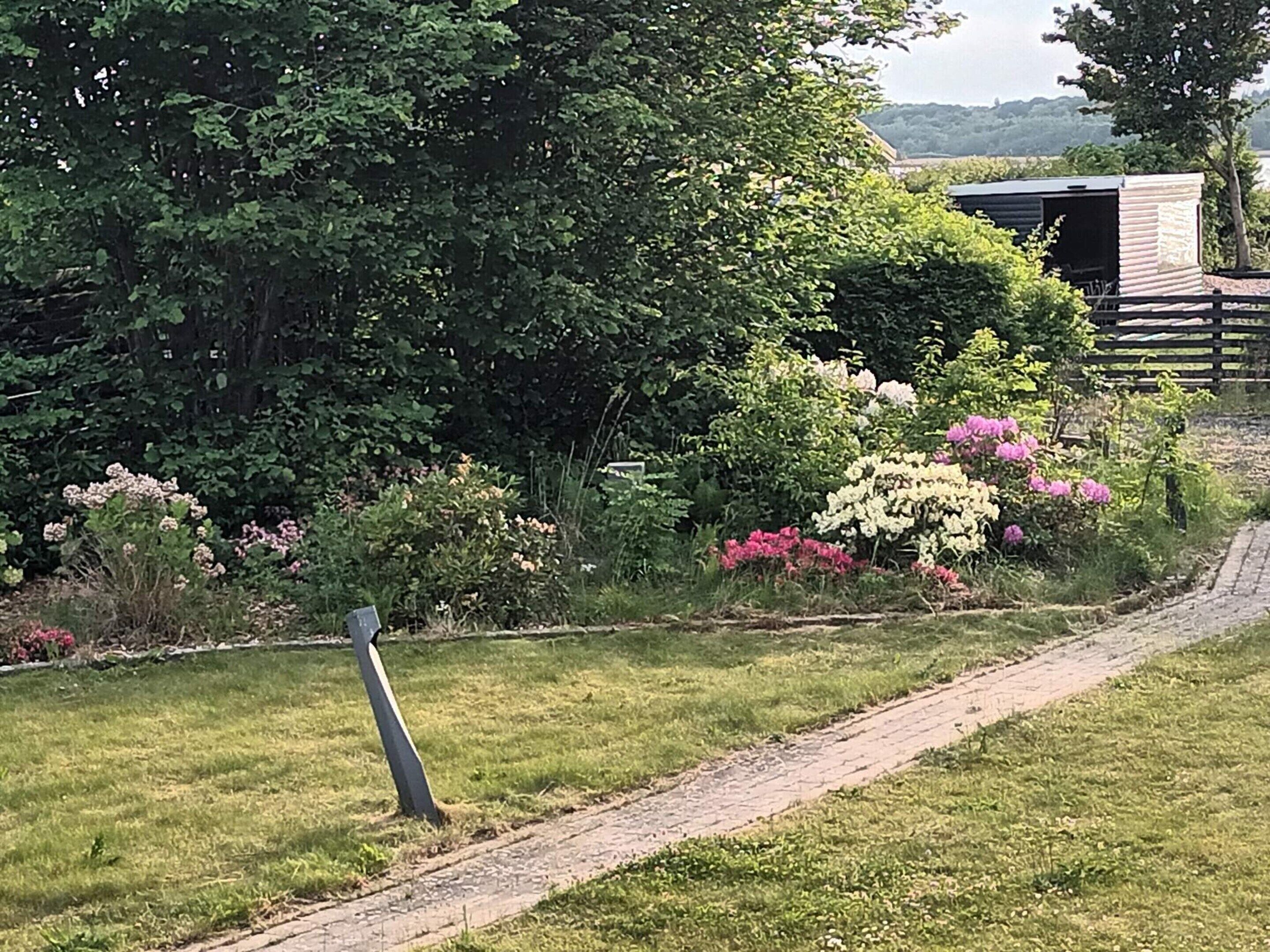 Un jardin avec différentes sortes de plantes et un sentier.