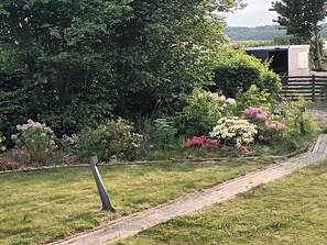 Ein Garten mit verschiedenen Pflanzen und einem Pfad.