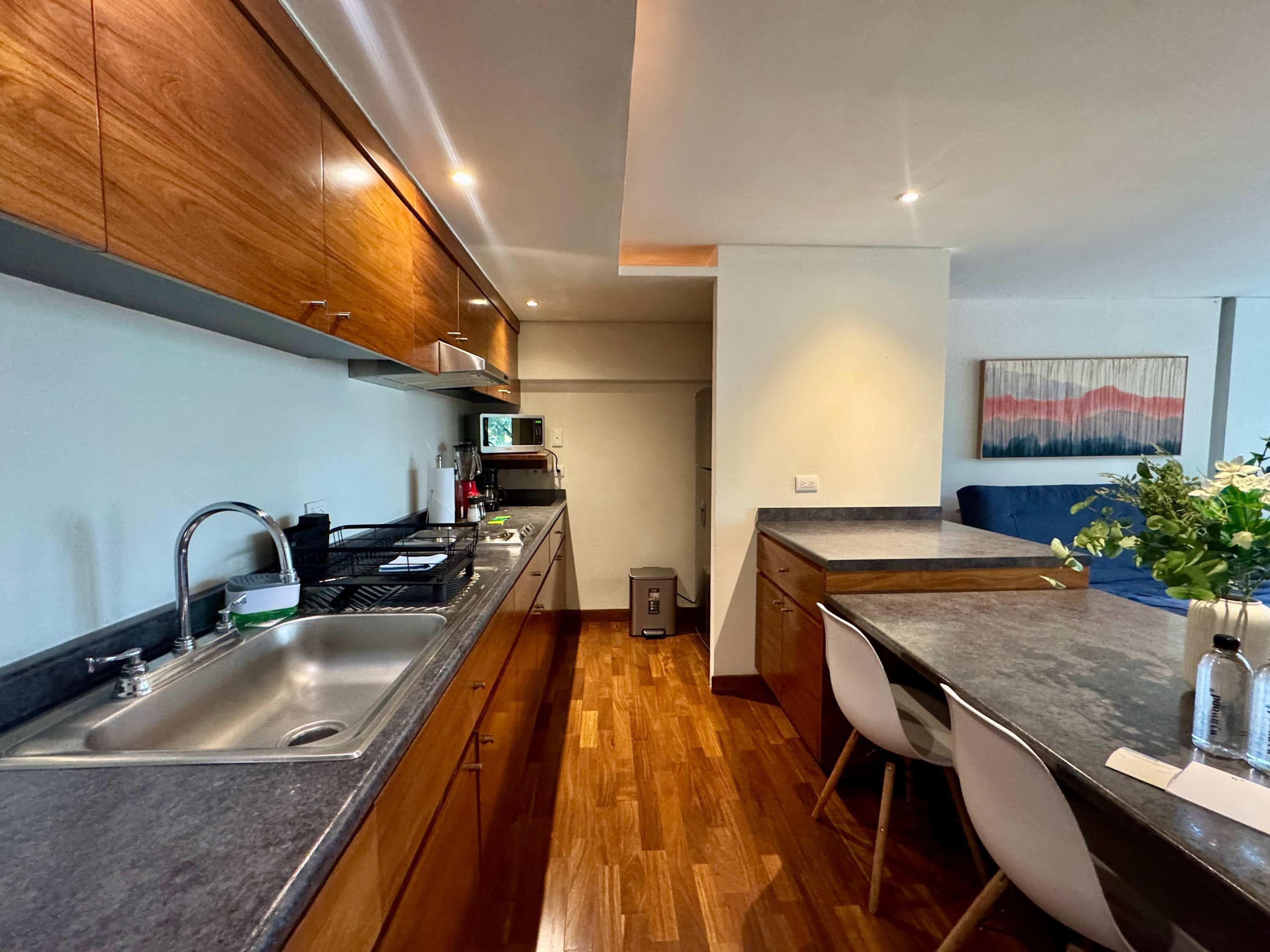 House | 1 bedroom, Internet