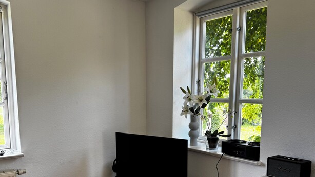 A living room with a flat-screen TV on a white cabinet, a window with a view of greenery, a fireplace, and a woven rug.