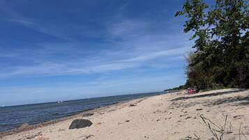 Ein Strand mit blauem Himmel, ruhigem Wasser und vereinzelter Vegetation.