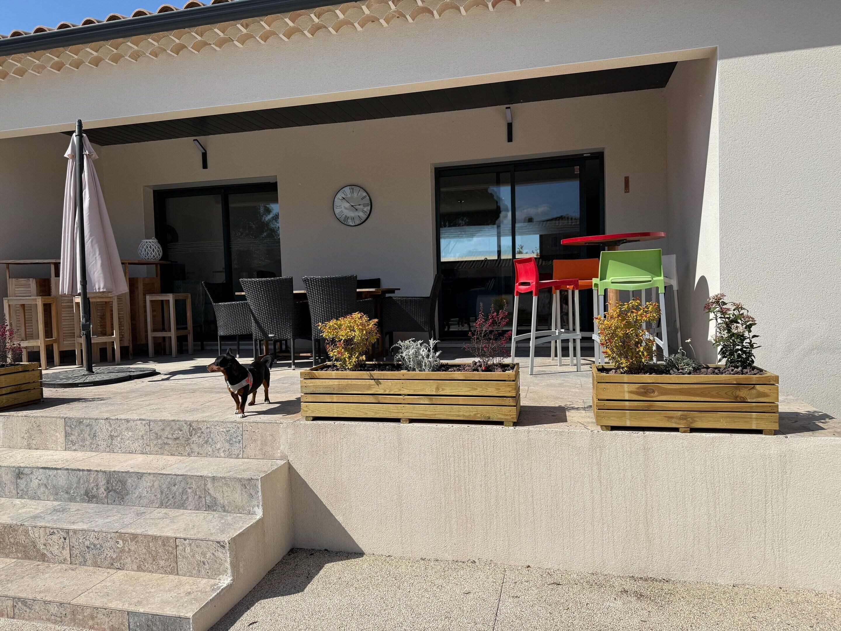 A patio area with outdoor seating, a dog, and a clock on the wall.