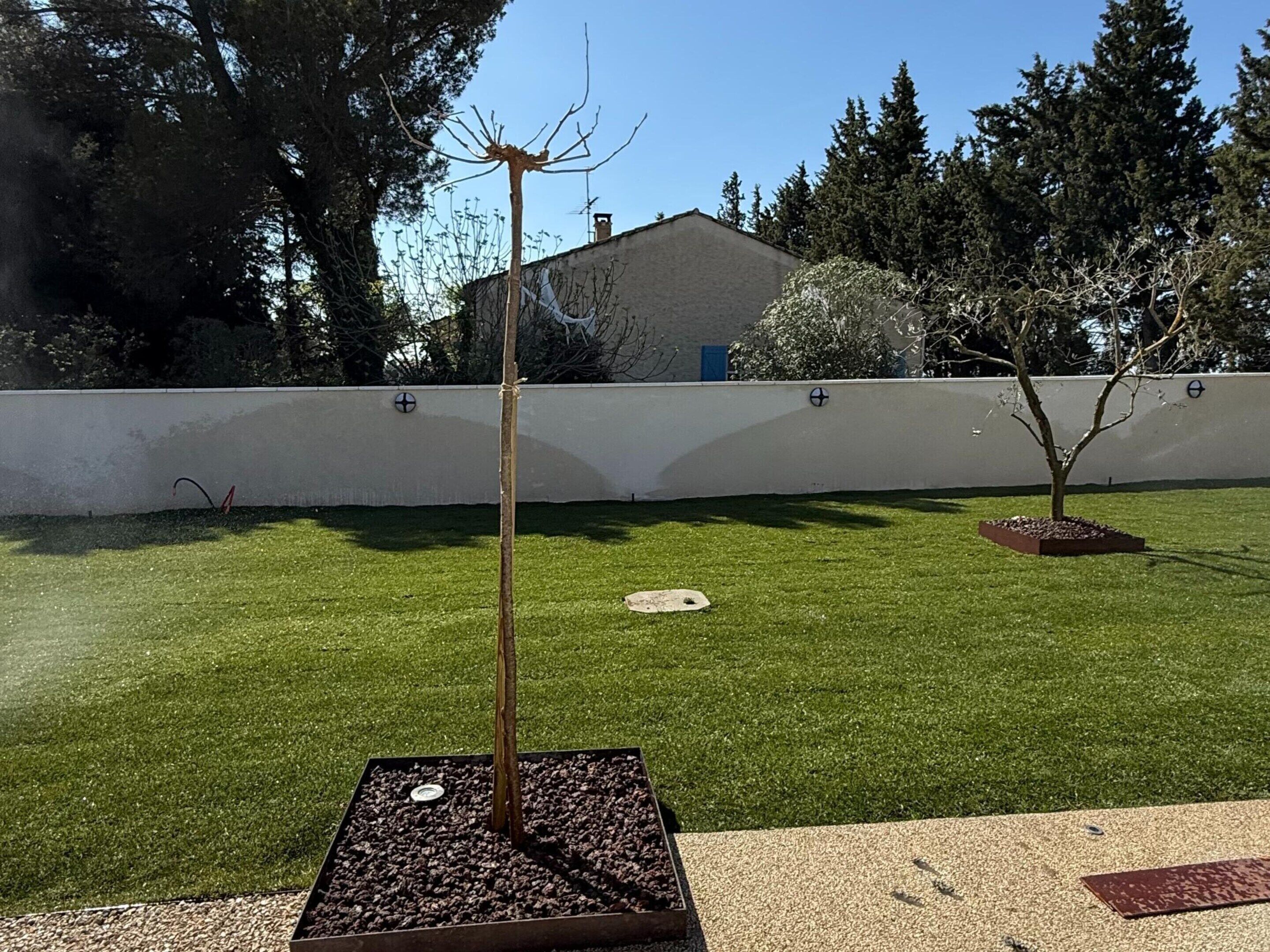 Eine angelegte Außenanlage mit Rasen, einem Baum und einer Metallskulptur.