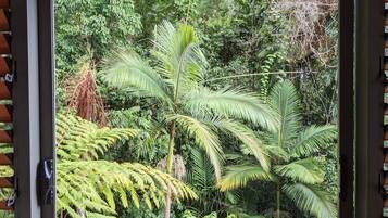 Una ventana con vistas a densa vegetación tropical, incluyendo helechos y palmeras.