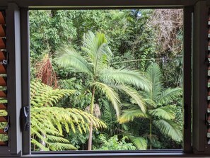 A window with a view of dense tropical foliage, including ferns and palm trees.