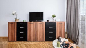 A modern living room with a wooden cabinet, a flat-screen TV, and a potted plant. - House in Landunvez Near Penfoul Beach (Warsaw)