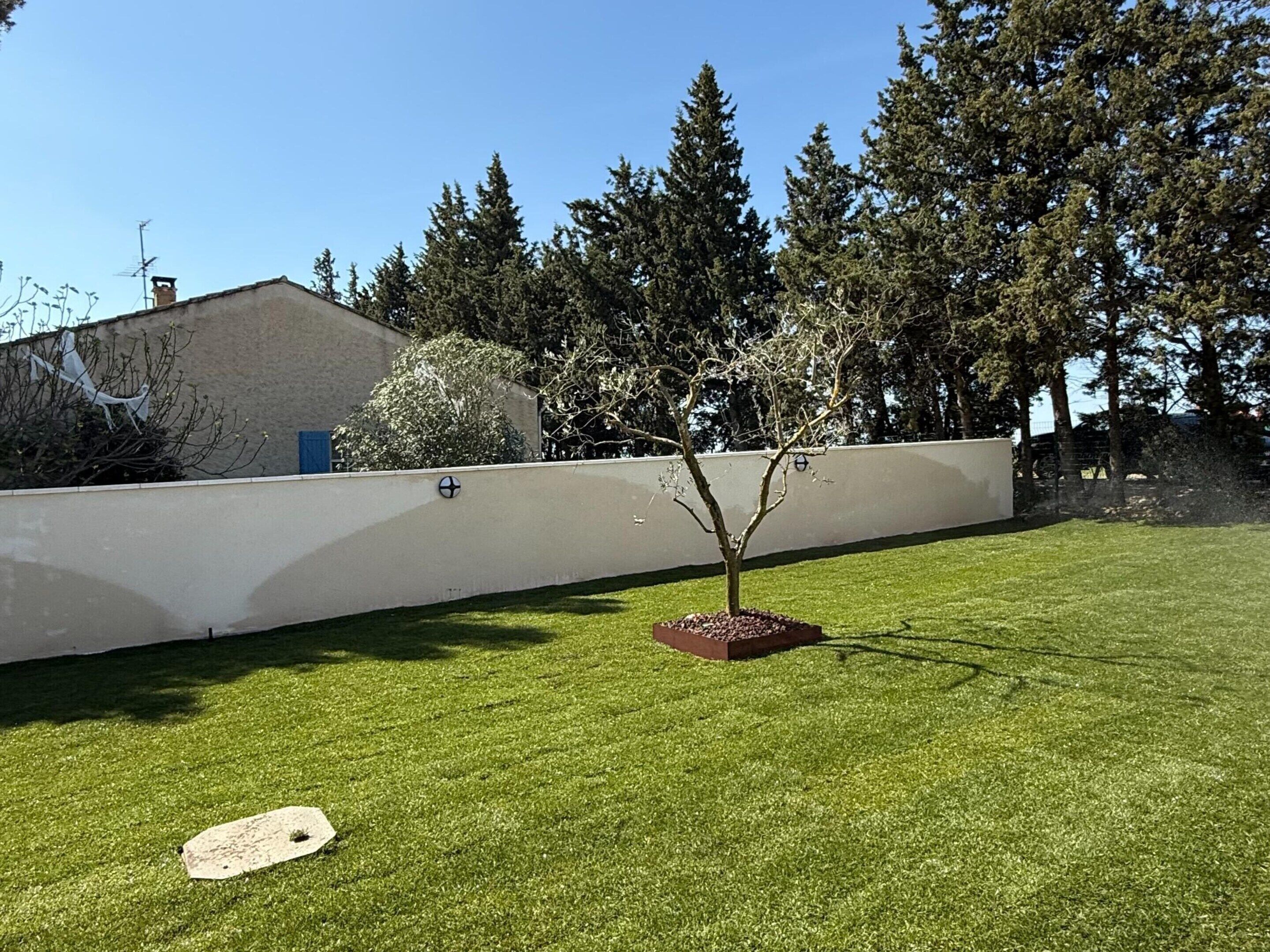 House | Garden