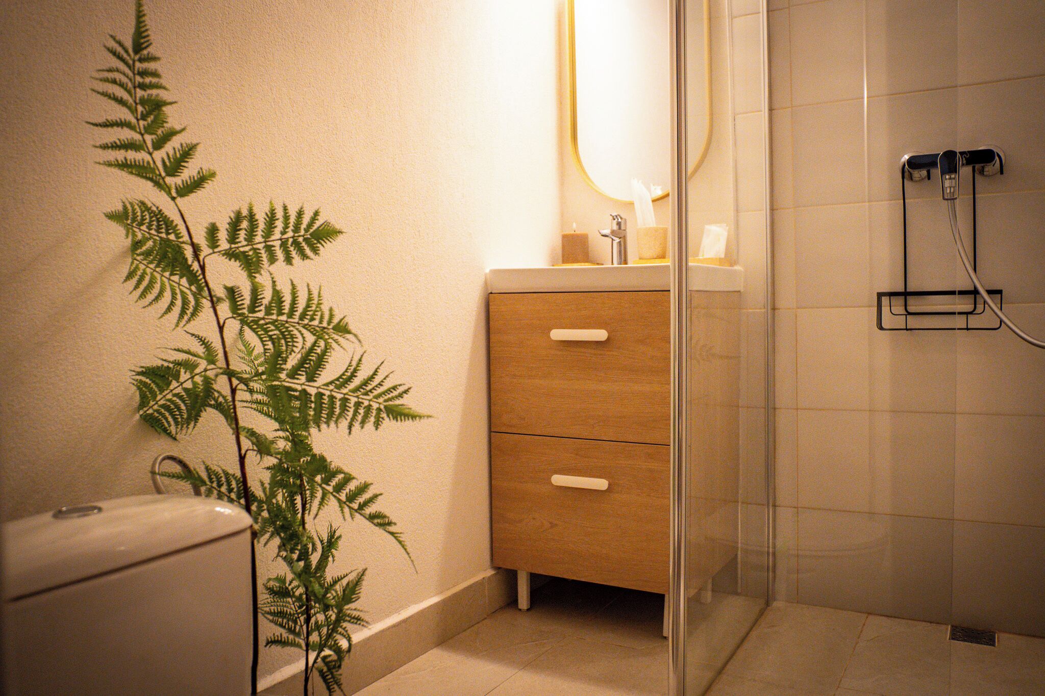 Un baño con cabina de ducha de vidrio, un mueble de madera con dos cajones, un espejo y un helecho en maceta.