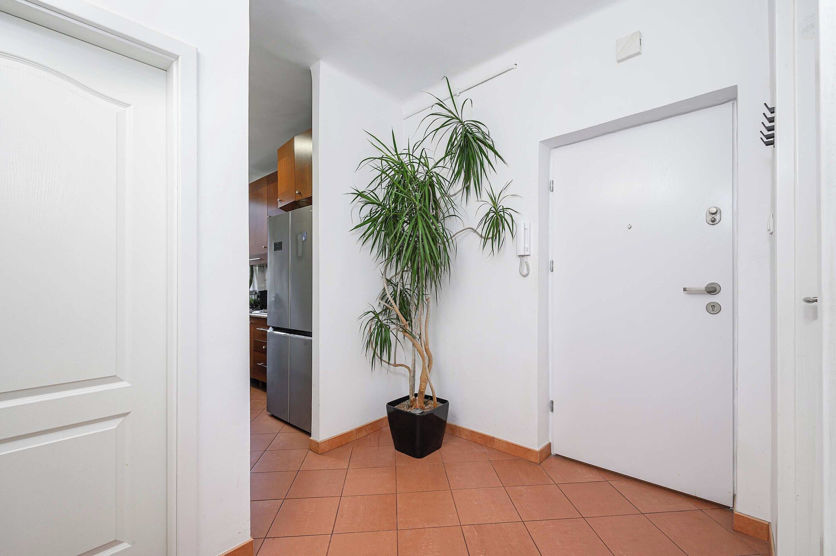 A hallway with a potted plant, a white door, and a kitchen area in the background.