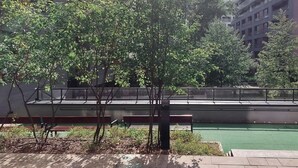 A park area with a bench, trees, and a pathway. - Quiet Flat With Garage (Warsaw)