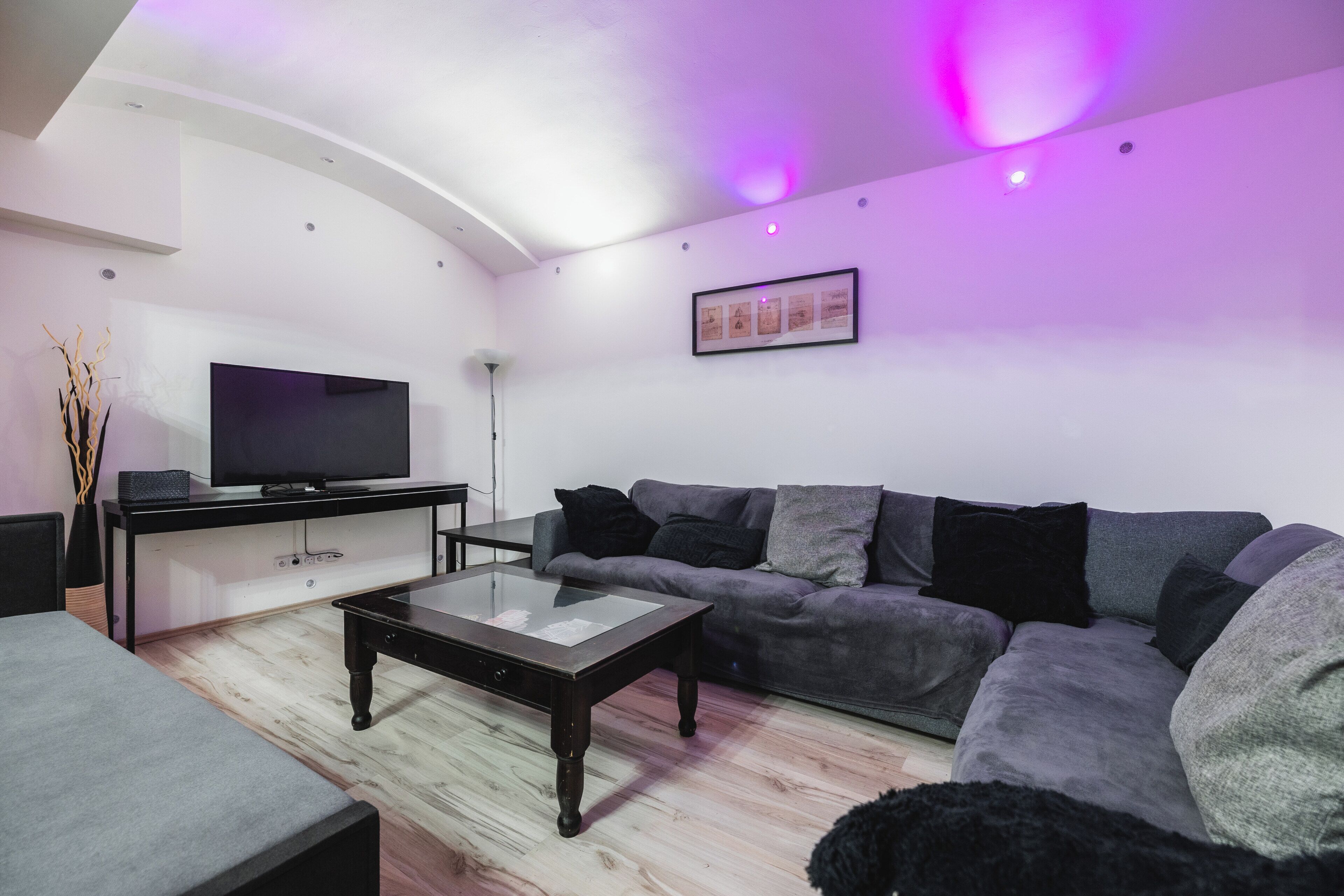 Un salon moderne avec un téléviseur à écran plat, un canapé, une table basse et une plante décorative.