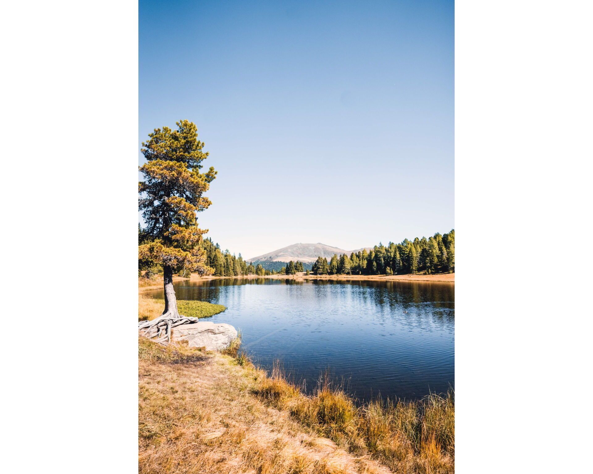 Un lac paisible aux eaux limpides, sous un ciel dégagé, entouré d’une forêt et dominé, au loin, par une montagne.