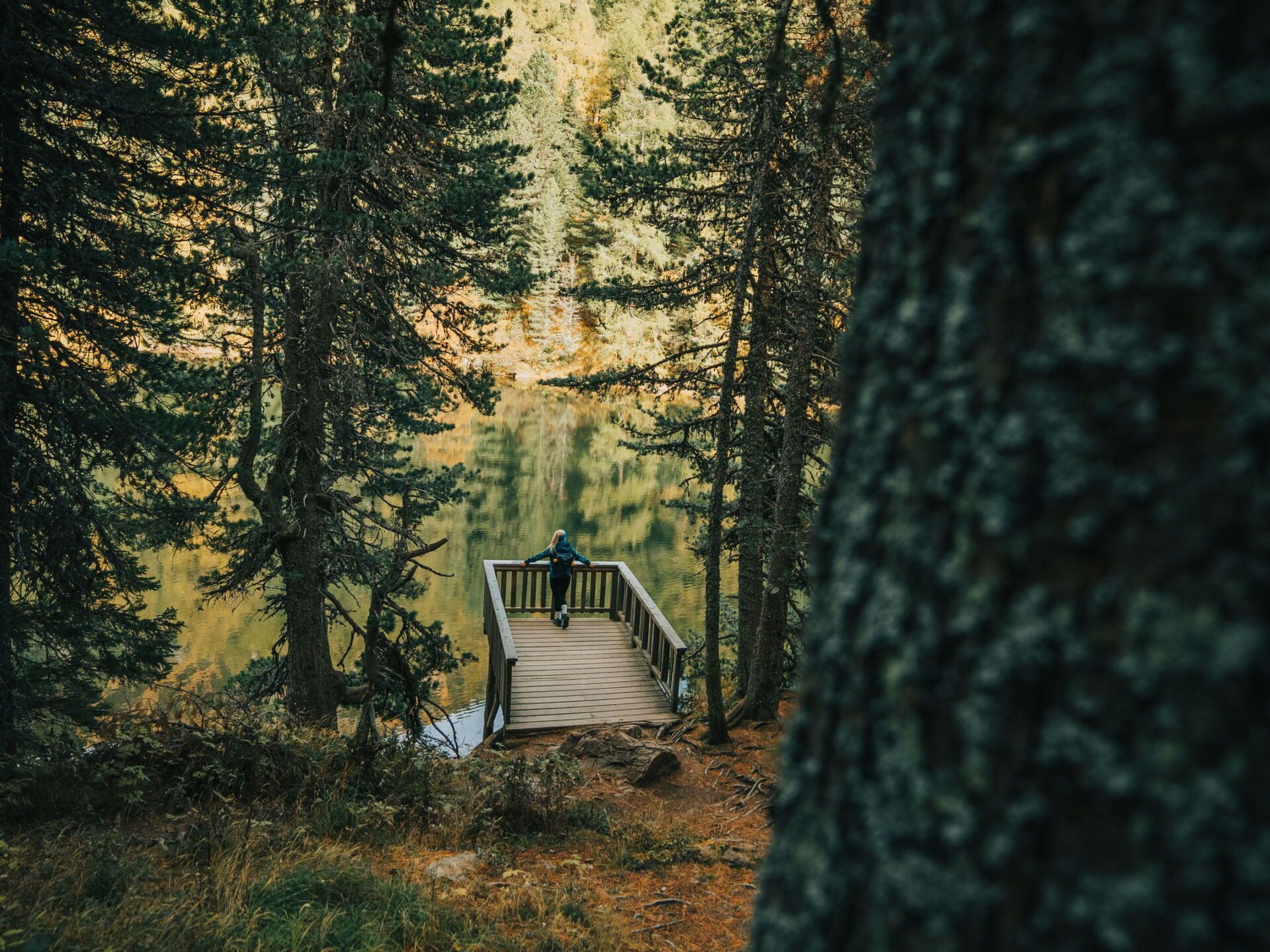Un pont en bois, situé dans une forêt où les arbres sont nombreux et où l’eau est calme.