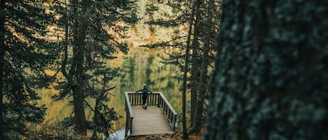 Uma ponte de madeira numa floresta com árvores densas e um corpo de água calmo.