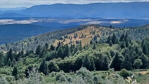 Un paisaje montañoso con un bosque denso y cielo despejado.