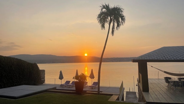 Vista al atardecer con piscina, sillas de descanso y una palmera.