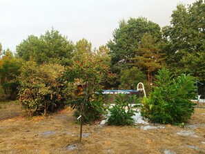 Ein Garten mit verschiedenen Bäumen und einem kleinen, weißen Gebäude.