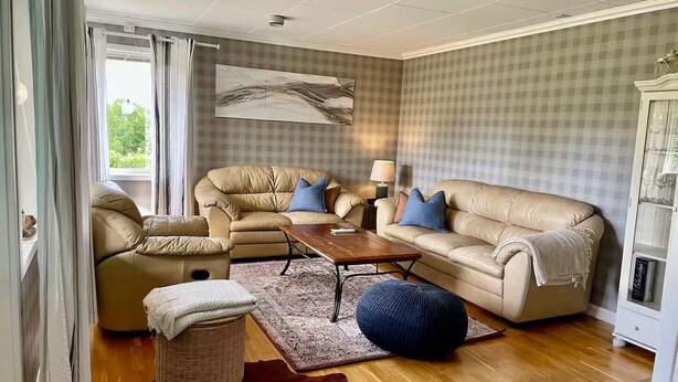 Ett vardagsrum med en soffa, ett soffbord, en matta och en lampa.