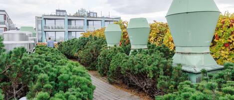 A pathway lined with green coniferous trees leading to a modern building with large green structures on its roof.