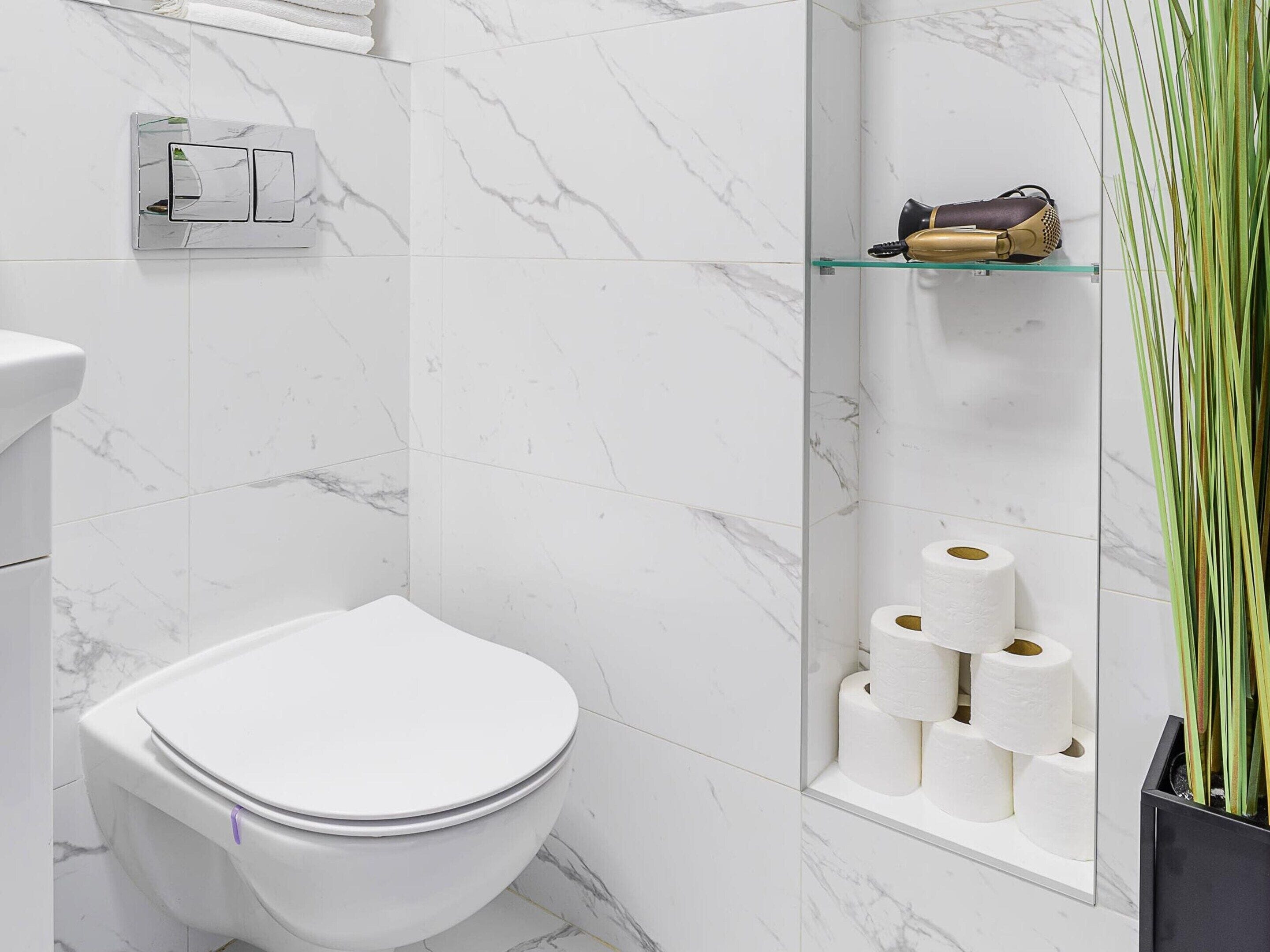 Ein Badezimmer mit Toilette, Marmorfliesen, einem Handtuchhalter, einer Glasablage mit Toilettenartikeln und einer Pflanze.