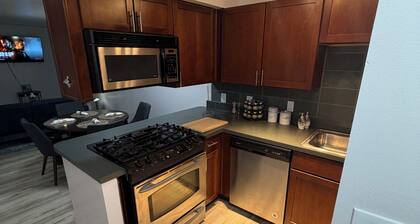 Luxury 1-bedroom condo in marvelous downtown Kansas City with many amenities