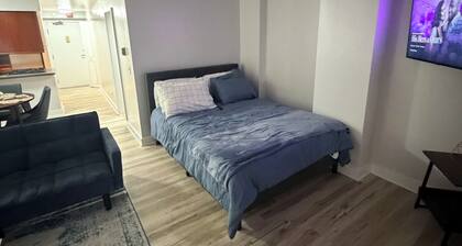 Luxury 1-bedroom condo in marvelous downtown Kansas City with many amenities