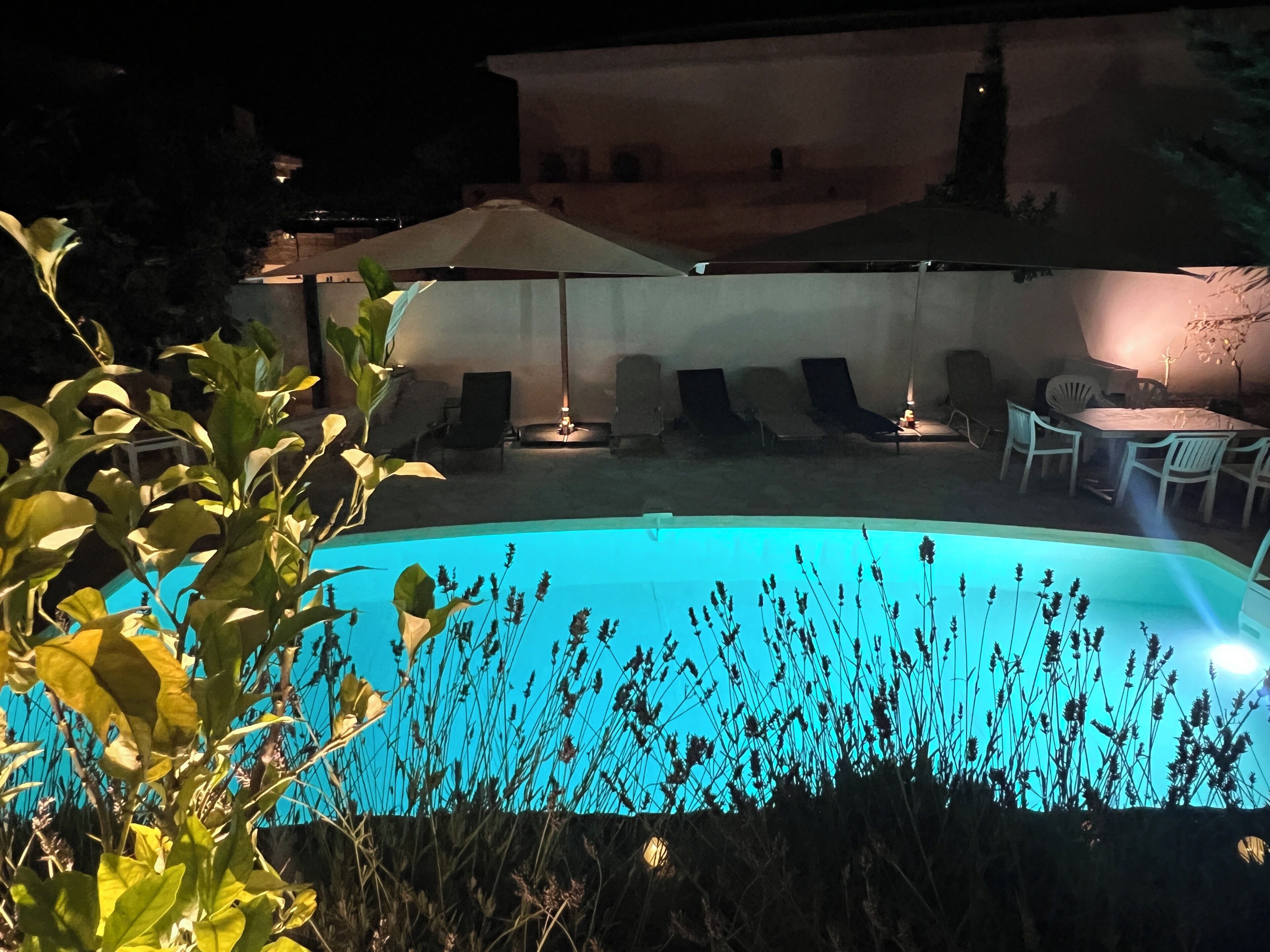 Une piscine entourée de verdure, avec des chaises longues et des parasols.