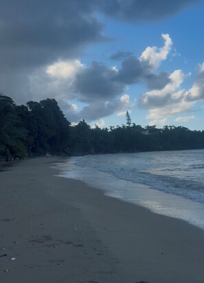 A beach with a sandy shore and a forested area in the background.