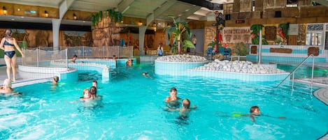 An indoor swimming pool with multiple lanes, a netted area for children, and a tropical-themed mural on the wall.
