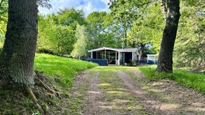 A pathway leading to a house surrounded by trees. - 5 Star Holiday Home in Glesborg (Glesborg)