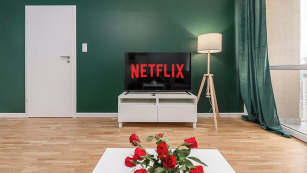 A living room with a television displaying 'NETFLIX' in red letters, a white cabinet, a floor lamp, and a vase with red roses. - Warsaw Stay Near Cinema (Warsaw)